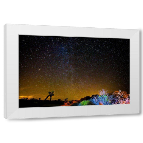 Stars over Joshua White Modern Wood Framed Art Print by Lichtenwalter, Tom