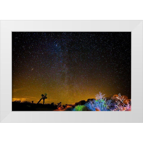 Stars over Joshua White Modern Wood Framed Art Print by Lichtenwalter, Tom