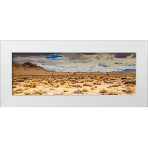 Open Range White Modern Wood Framed Art Print by Lichtenwalter, Tom