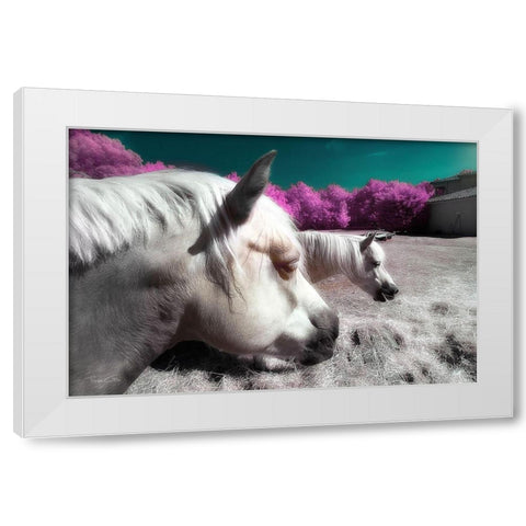 Fantasy Horses - Infrared Photography  White Modern Wood Framed Art Print by Gee, Tonee