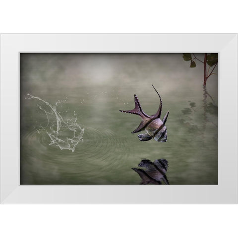 Banggai Cardinalfish White Modern Wood Framed Art Print by Visser, Michiel