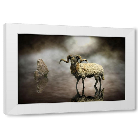 Sheep White Modern Wood Framed Art Print by Visser, Michiel