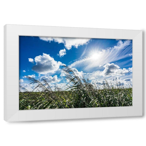 Cloud Painting White Modern Wood Framed Art Print by Lichtenwalter, Tom