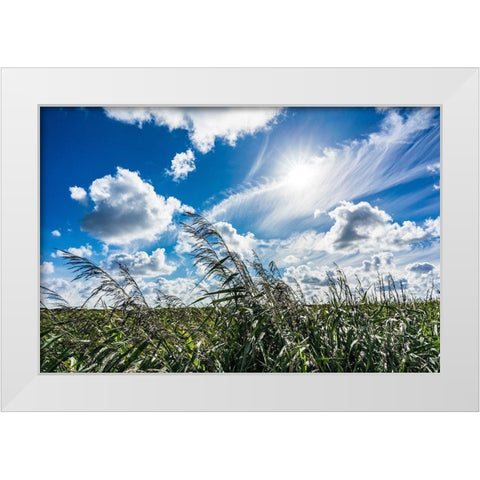 Cloud Painting White Modern Wood Framed Art Print by Lichtenwalter, Tom