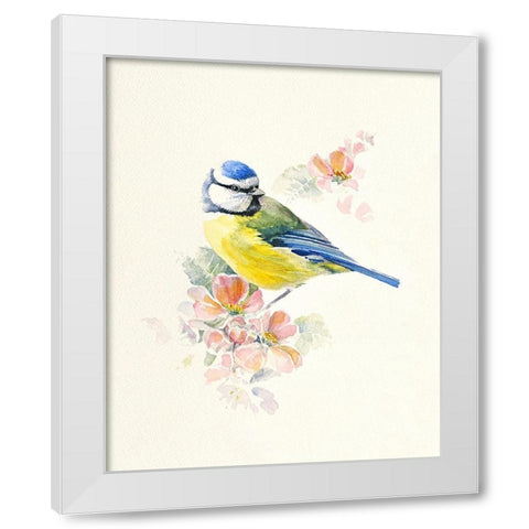 Blue Tit White Modern Wood Framed Art Print by Mayes, Hilary