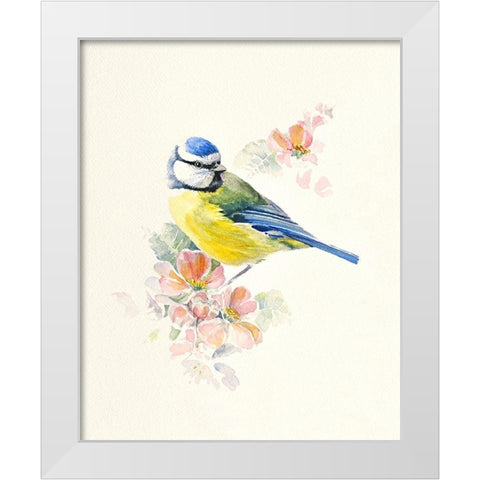 Blue Tit White Modern Wood Framed Art Print by Mayes, Hilary