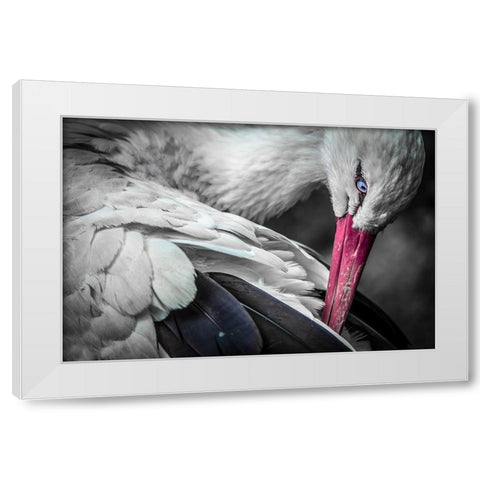 The Stork White Modern Wood Framed Art Print by Ronin