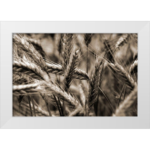 Sommertraum I White Modern Wood Framed Art Print by Steger, Uwe