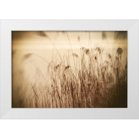 Traumzeit I White Modern Wood Framed Art Print by Steger, Uwe