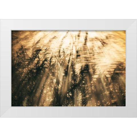 Traumzeit II White Modern Wood Framed Art Print by Steger, Uwe