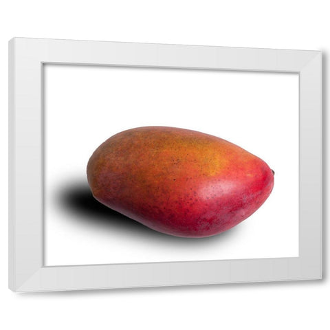 Mango White Modern Wood Framed Art Print by Brosius, Volker