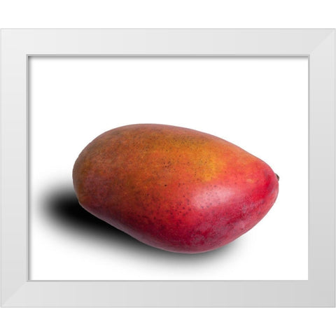 Mango White Modern Wood Framed Art Print by Brosius, Volker