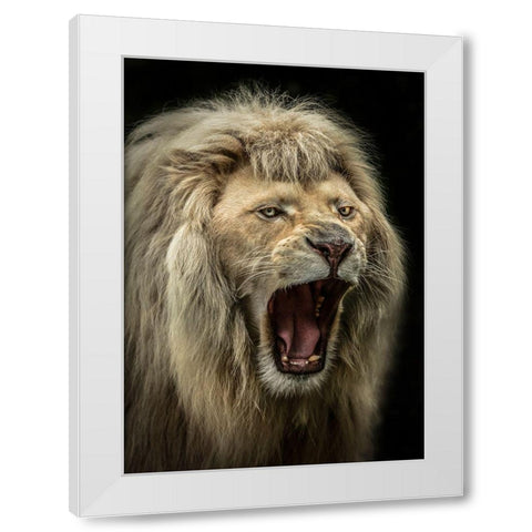 The Lion Roars White Modern Wood Framed Art Print by Ronin