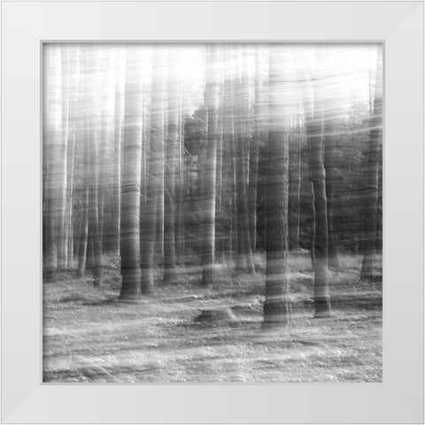 Day Break White Modern Wood Framed Art Print by Stein, Oliver