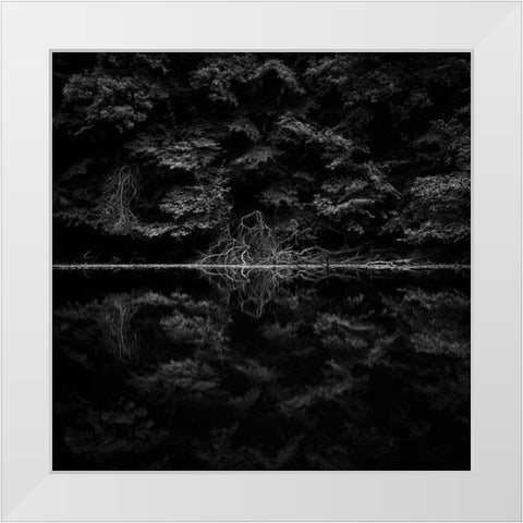 Necropolis White Modern Wood Framed Art Print by Stein, Oliver