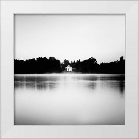 Swan Island White Modern Wood Framed Art Print by Stein, Oliver