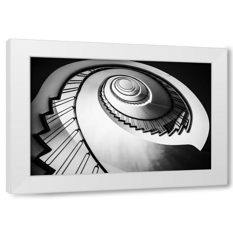 Parrot Staircase White Modern Wood Framed Art Print by Ronin