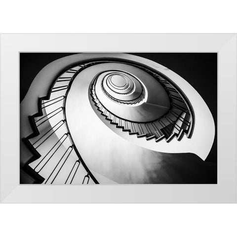 Parrot Staircase White Modern Wood Framed Art Print by Ronin