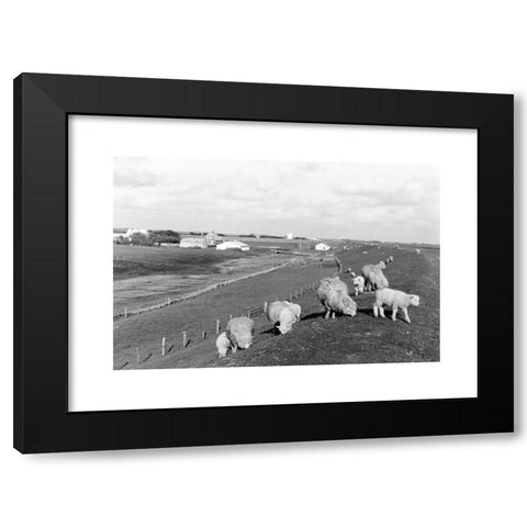 1960's Image Collection by United Archives GmbH - Black Modern Wood Framed Art Print Titled: Schafe grasen auf einer Wiese bei einem Windrad, Deutschland 1960er Jahre. Sheep grazing near a wind wheel, Germany 1960s.