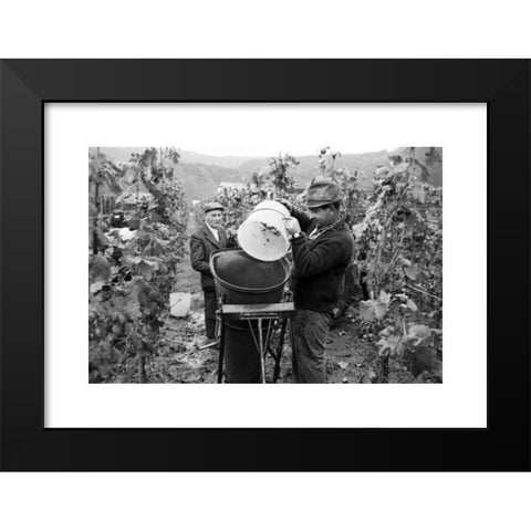 1960's Image Collection by United Archives GmbH - Black Modern Wood Framed Art Print Titled: Winzer bei der Weinlese in den Weinbergen um die Ortschaft Bremm an der Mosel, Deutschland 1968. Winegrowers harvesting grapes near the village of