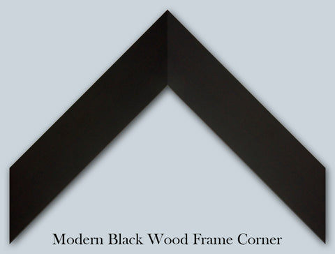 1960's Image Collection by Golden Pixels LLC - Black Modern Wood Framed Art Print Titled: Hippie couple