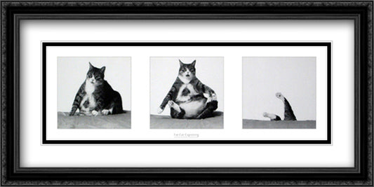 Fat Cat Capsizing 29x15 Black Ornate Wood Framed Art Print Poster with Double Matting by Watherwax, Richard