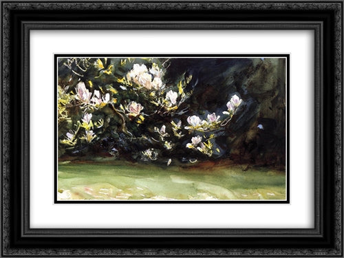 Magnolias 24x18 Black Ornate Wood Framed Art Print Poster with Double Matting by Sargent, John Singer