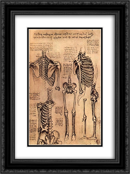 Drawing of the Torso and the Arms 18x24 Black Ornate Wood Framed Art Print Poster with Double Matting by da Vinci, Leonardo