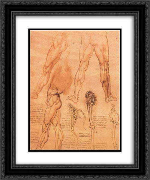 Studies of legs of man and the leg of a horse 20x24 Black Ornate Wood Framed Art Print Poster with Double Matting by da Vinci, Leonardo