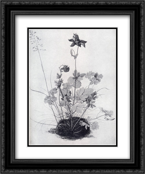 The Piece Of Turf With The Columbine 20x24 Black Ornate Wood Framed Art Print Poster with Double Matting by Durer, Albrecht