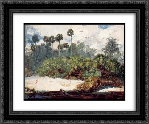 In a Florida Jungle 24x20 Black Ornate Wood Framed Art Print Poster with Double Matting by Homer, Winslow