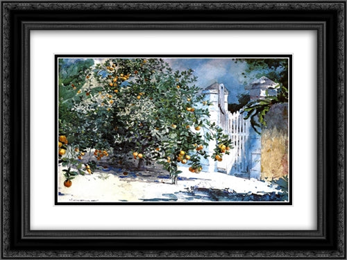 Orange Tree, Nassau 24x18 Black Ornate Wood Framed Art Print Poster with Double Matting by Homer, Winslow