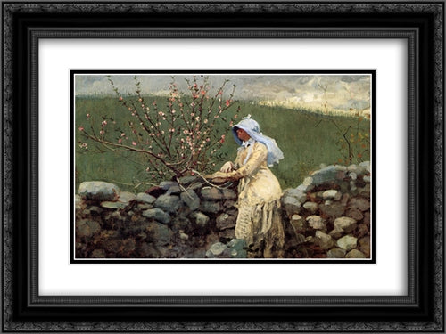 Peach Blossoms 24x18 Black Ornate Wood Framed Art Print Poster with Double Matting by Homer, Winslow