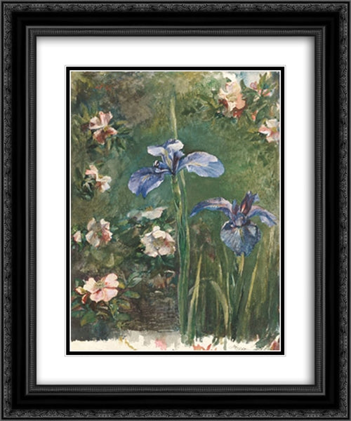 Wild Roses and Irises 20x24 Black Ornate Wood Framed Art Print Poster with Double Matting by LaFarge, John