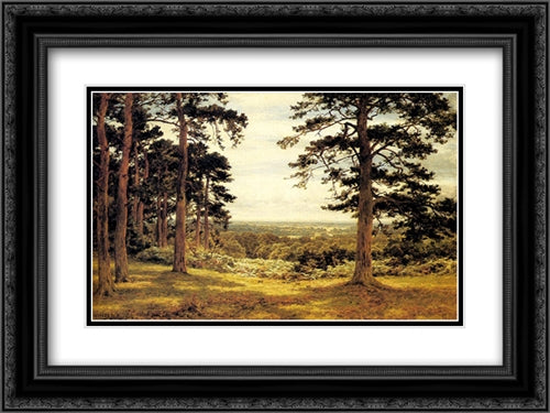 A Peep Through The Pines 24x18 Black Ornate Wood Framed Art Print Poster with Double Matting by Leader, Benjamin Williams