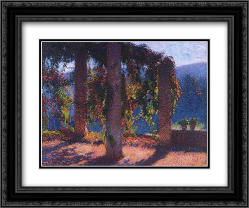 The Pergola in Marquayrol 24x20 Black Ornate Wood Framed Art Print Poster with Double Matting by Martin, Henri