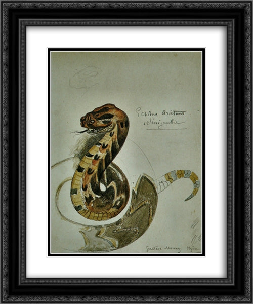 Study puff adder 20x24 Black Ornate Wood Framed Art Print Poster with Double Matting by Moreau, Gustave