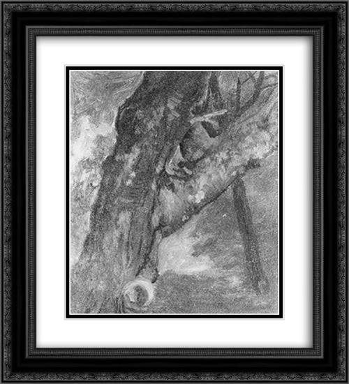 Study of a Tree 20x22 Black Ornate Wood Framed Art Print Poster with Double Matting by Bierstadt, Albert