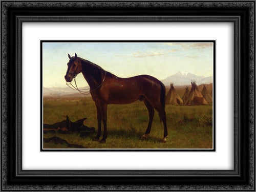 Portrait of a Horse 24x18 Black Ornate Wood Framed Art Print Poster with Double Matting by Bierstadt, Albert