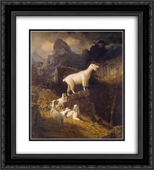 Rocky Mountain Goats 20x22 Black Ornate Wood Framed Art Print Poster with Double Matting by Bierstadt, Albert