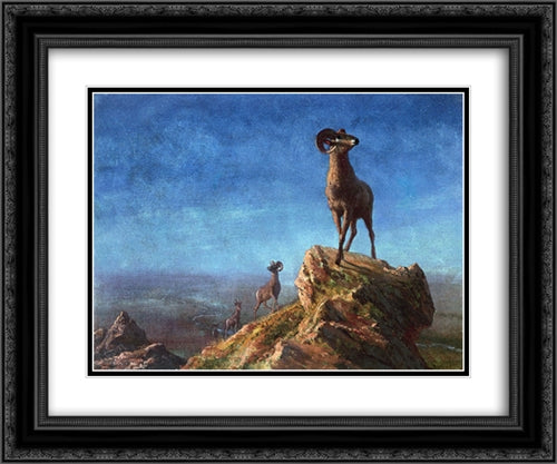 Rocky Mountain Big Horns 24x20 Black Ornate Wood Framed Art Print Poster with Double Matting by Bierstadt, Albert