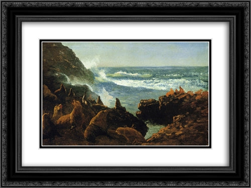 Sea Lions, Farallon Islands 24x18 Black Ornate Wood Framed Art Print Poster with Double Matting by Bierstadt, Albert