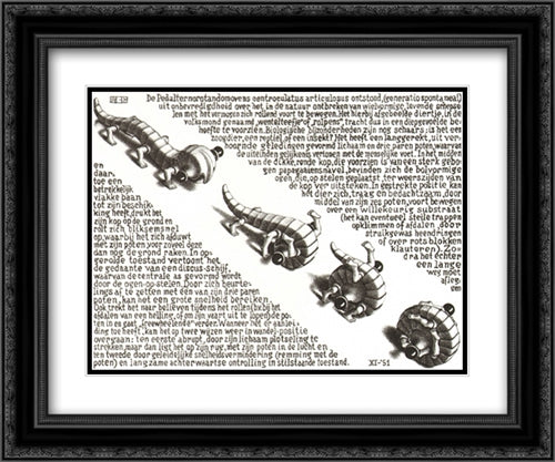 Curl Up 24x20 Black Ornate Wood Framed Art Print Poster with Double Matting by Escher, M.C.