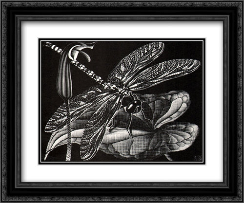 Dragonfly 24x20 Black Ornate Wood Framed Art Print Poster with Double Matting by Escher, M.C.