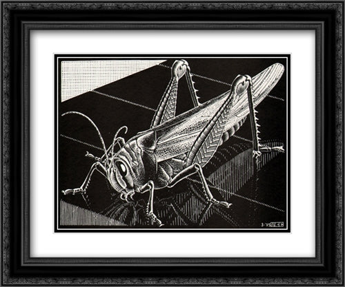 Grasshopper 24x20 Black Ornate Wood Framed Art Print Poster with Double Matting by Escher, M.C.