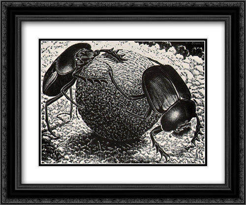 Scarebs 24x20 Black Ornate Wood Framed Art Print Poster with Double Matting by Escher, M.C.