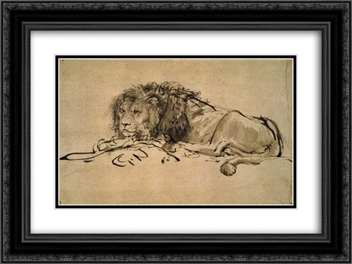 Lion Resting 24x18 Black Ornate Wood Framed Art Print Poster with Double Matting by Rembrandt