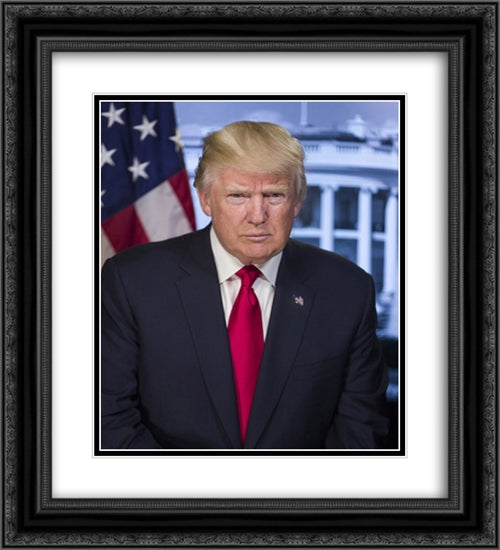 Official portrait of President Donald Trump 20x22 Black Ornate Wood Framed Art Print Poster with Double Matting by Library of Congress