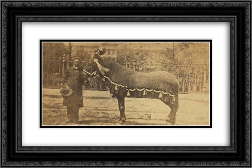 President Lincoln's horse, Old Robin 24x16 Black Ornate Wood Framed Art Print Poster with Double Matting by Library of Congress