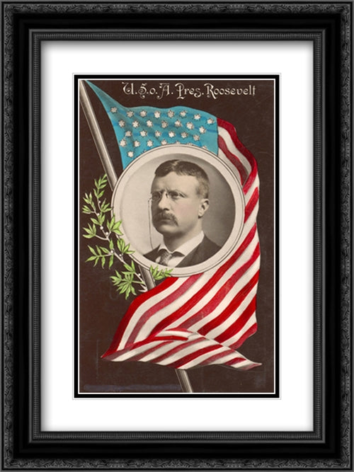U. S. o[f] A., Pres. Roosevelt 18x24 Black Ornate Wood Framed Art Print Poster with Double Matting by Library of Congress